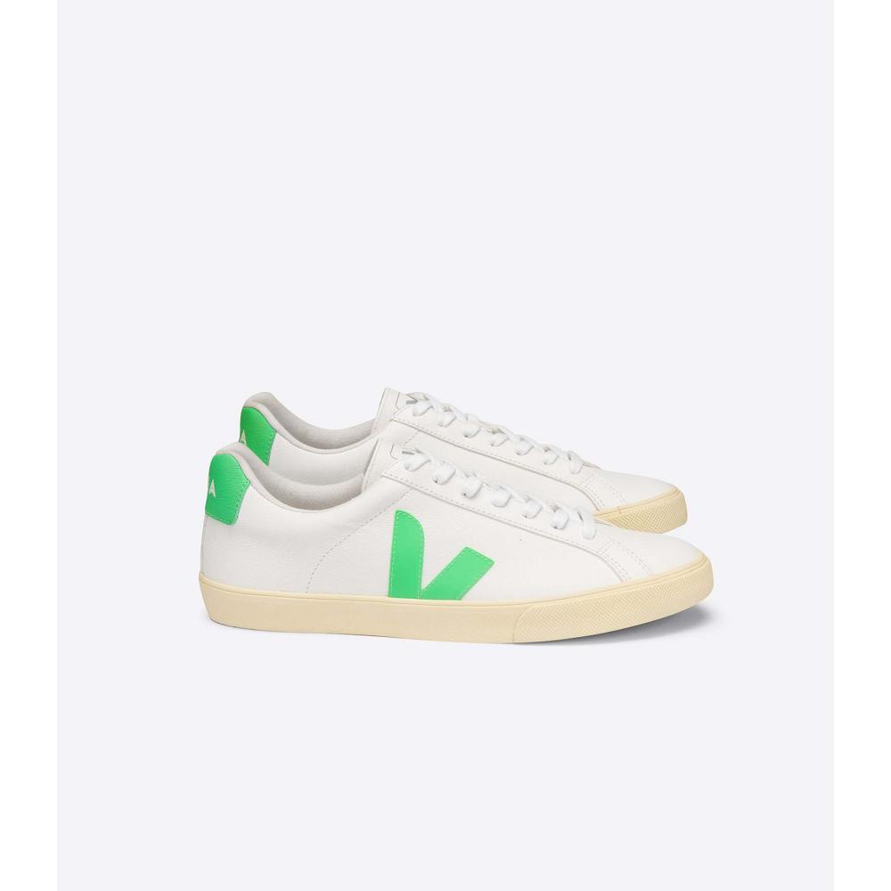 Men\'s Veja ESPLAR CHROMEFREE Shoes White/Green | SG 192EBC